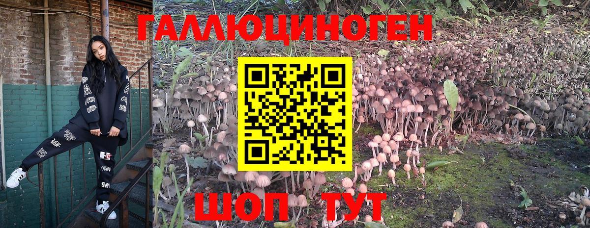 Сертолово  Псилоцибиновые грибы Magic Shrooms  Вход с VPN 