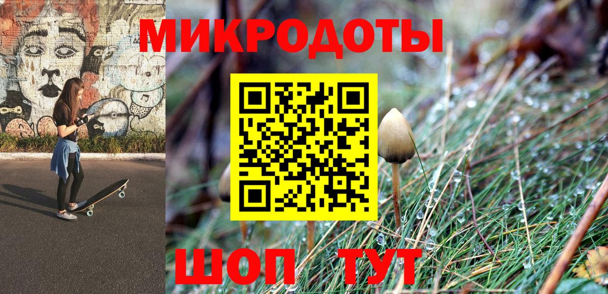 Галлюциногенные грибы Psilocybine cubensis Сертолово